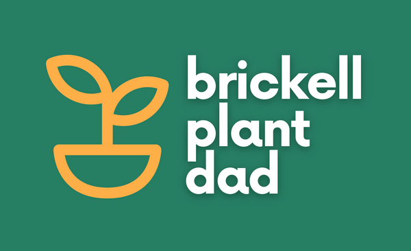 Brickell Plant Dad