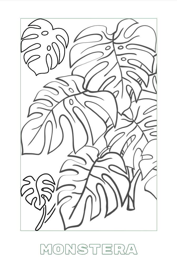 "Inside the Lines" 32-page plant coloring book