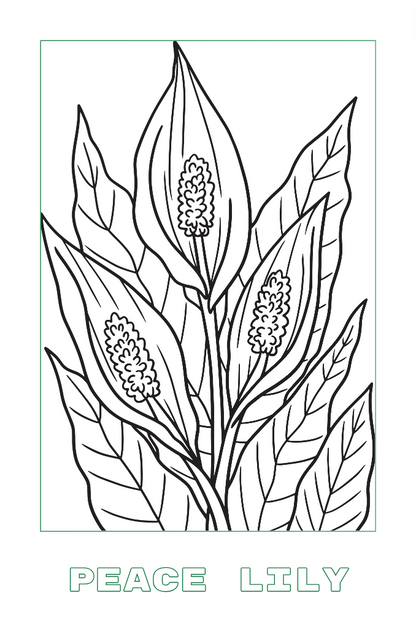 "Inside the Lines" 32-page plant coloring book